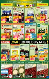 Gazetka promocyjna Norma - Norma - Gazetka - ważna od 10.07 do 10.07.2023 - strona 11 - produkty: alkohol, auer, aufstrich, Becher, beere, beeren, blume, blumen, blumenkohl, bohne, bohnen, brot, brotaufstrich, burger, eier, eis, elle, erdbeere, erdbeeren, flasche, fleisch, fleischsalat, Garten, gin, gurke, jagdwurst, kirsch, kirsche, kirschen, knacker, krakauer, kräuter, kühlregal, likör, Mett, metten, morellen, natur, Nudossi, obst, obstgarten, oder kräuter, pils, pilsner, radler, regal, reis, rel, ring, sac, salat, schattenmorellen, schinken, senf, snack, spreewaldhof, Ti, tiefpreis, tomate, tomaten, vanille, wurst, zitrone