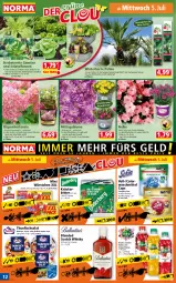 Gazetka promocyjna Norma - Norma - Gazetka - ważna od 10.07 do 10.07.2023 - strona 12 - produkty: blended scotch, blended scotch whisky, blume, Blüte, butter, Cap, colorwaschmittel, eis, fisch, flasche, früchte, Garten, hortensie, kirsch, kirsche, kopfsalat, kräuter, kulturtopf, mango, orange, pflanze, pflanzen, Pink Lady, Radicchio, salat, scotch, scotch whisky, thunfisch, Thunfischsalat, topf, vanille, waschmittel, whisky, würstchen, zucker