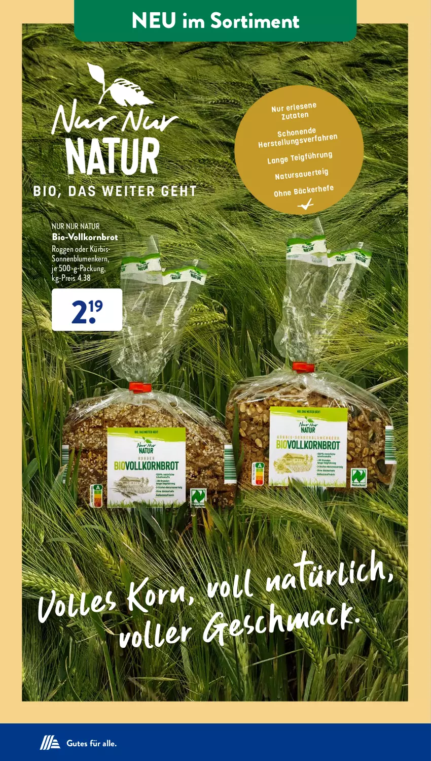 Aktueller Prospekt AldiSud - IN ZWEI WOCHEN - von 11.09 bis 16.09.2023 - strona 23 - produkty: bio, blume, blumen, brot, eis, korn, Kornbrot, Kürbis, natur, reis, sonnenblume, sonnenblumen, Ti, vollkornbrot