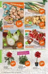 Gazetka promocyjna Tegut - Angebote der Woche - Gazetka - ważna od 26.11 do 26.11.2022 - strona 4 - produkty: angebot, angebote, Bau, bio, blume, blumen, Blüte, braun, champignon, champignons, cocktail, dekoration, eis, fenchel, kartoffel, kartoffeln, leine, LG, natur, naturland, pflanze, pflanzen, Rauch, reis, Schal, Schale, Ti, tomate, tomaten, topf