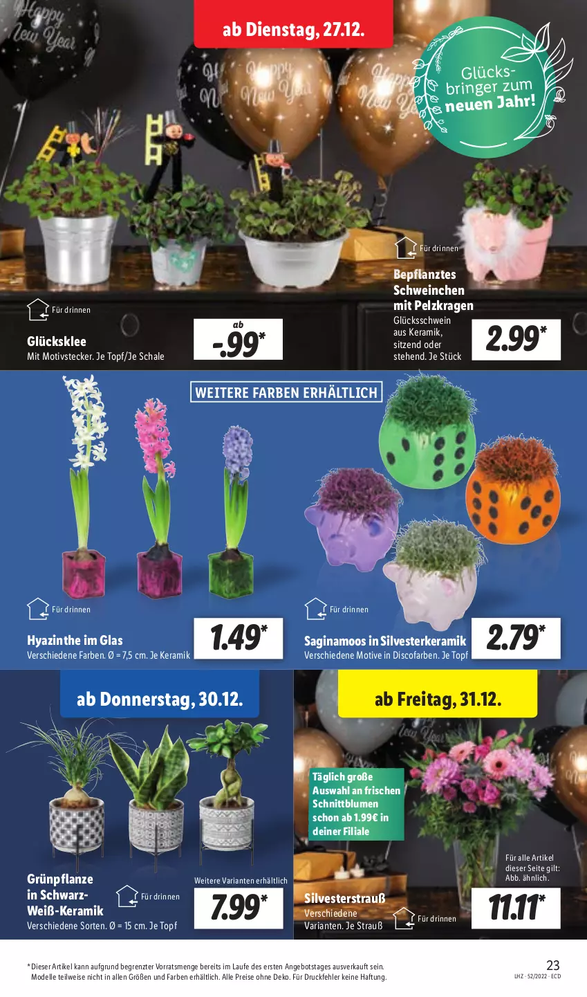 Aktueller Prospekt Lidl - Aktionsprospekt - von 27.12 bis 31.12.2022 - strona 25 - produkty: angebot, blume, blumen, dell, eis, elle, gin, glücksklee, Mode, pflanze, reis, Ria, ring, Schal, Schale, schwein, Ti, topf, wein, ZTE