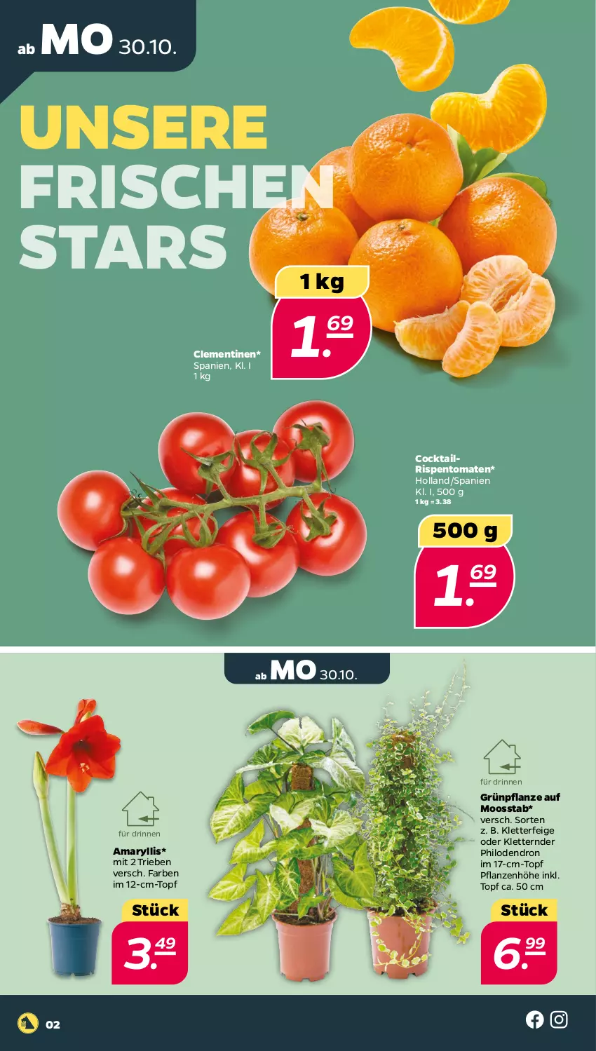 Aktueller Prospekt Netto - Woche 44 - von 30.10 bis 04.11.2023 - strona 2 - produkty: clementinen, cocktail, pflanze, pflanzen, rispentomaten, Ti, tomate, tomaten, topf