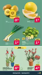 Gazetka promocyjna Netto - Woche 44 - Gazetka - ważna od 04.11 do 04.11.2023 - strona 3 - produkty: kiwi, orchidee, pflanze, Pomelo, Ria, rosen, Rosenkohl, topf