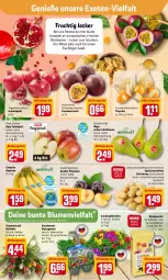 Gazetka promocyjna Rewe - REWE Ihr Kaufpark - Gazetka - ważna od 09.04 do 09.04.2022 - strona 2 - produkty: aktionspreis, ambia, apfel, banane, bananen, Birnen, blume, blumen, blumenerde, chiquita, eis, erde, frucht, Garten, Gartenpflanze, grana, granatapfel, kartoffel, kartoffeln, LG, müsli, obst, passionsfrucht, pflanze, pflanzen, pflaume, pflaumen, Physalis, Rana, reis, rote tafeläpfel, salat, Schal, Schale, sim, simba, snack, speisekartoffeln, stauden, tafeläpfel, tafelbirnen, Ti, tisch, topf, zauberglöckchen