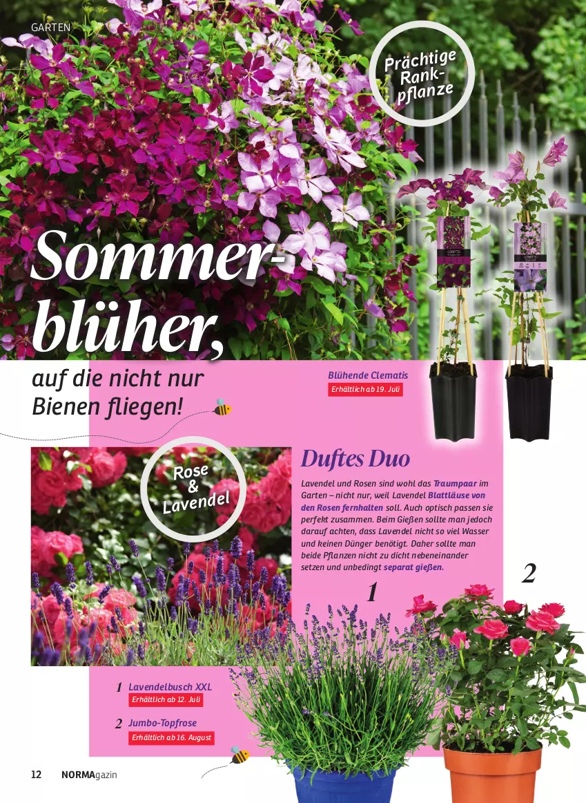 Aktueller Prospekt Norma - Norma - von 01.07 bis 31.08.2023 - strona 12 - produkty: dünger, Garten, jumbo, lavendel, Liege, magazin, pflanze, pflanzen, rosen, Ti, tisch, topf, wasser