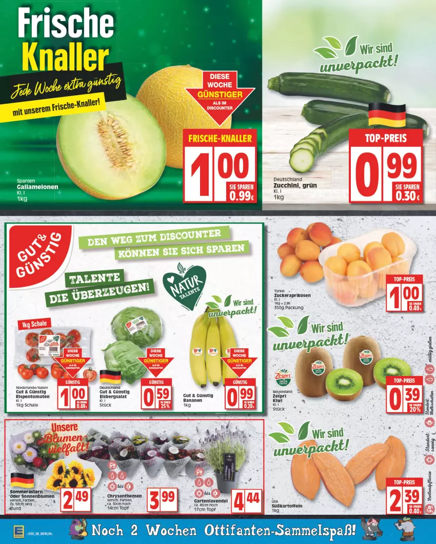 Aktueller Prospekt Edeka - Angebote der Woche - von 25.07 bis 30.07.2022 - strona 6 - produkty: banane, bananen, blume, blumen, chrysanthemen, eis, eisbergsalat, Elan, fisch, fische, galiamelone, Garten, kiwi, lavendel, melone, melonen, rispentomaten, salat, Schal, Schale, sonnenblume, sonnenblumen, Ti, tomate, tomaten, topf, zespri, zucchini