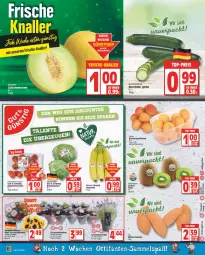 Gazetka promocyjna Edeka - Angebote der Woche - Gazetka - ważna od 30.07 do 30.07.2022 - strona 6 - produkty: banane, bananen, blume, blumen, chrysanthemen, eis, eisbergsalat, Elan, fisch, fische, galiamelone, Garten, kiwi, lavendel, melone, melonen, rispentomaten, salat, Schal, Schale, sonnenblume, sonnenblumen, Ti, tomate, tomaten, topf, zespri, zucchini