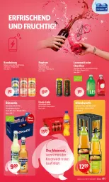 Gazetka promocyjna Getraenke Hoffmann - Prospekte - Gazetka - ważna od 16.08 do 16.08.2025 - strona 3 - produkty: apfel, apfelsaft, bio, bionade, Bundaberg, coca-cola, cola, drink, eis, eistee, energy drink, frucht, gin, ginger, limo, limonade, natur, orange, saft, tee, Ti