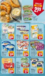 Gazetka promocyjna Rewe - Prospekte - Gazetka - ważna od 28.05 do 28.05.2022 - strona 9 - produkty: almighur, almighurt, aufstrich, bresso, brot, brotaufstrich, danone, Dany, dany sahne, Dr. Oetker, ehrmann, ehrmann almighurt, frischkäse, frischkäsezubereitung, homann, joghur, joghurt, kartoffel, kartoffelsalat, Käse, kerrygold, kerrygold extra, kirsch, kirsche, landliebe, landmilch, marmorette, milch, nestlé, panna cotta, Paula, paula pudding, pudding, quark, sahne, sahne joghurt, salat, Ti, weihenstephan, zott