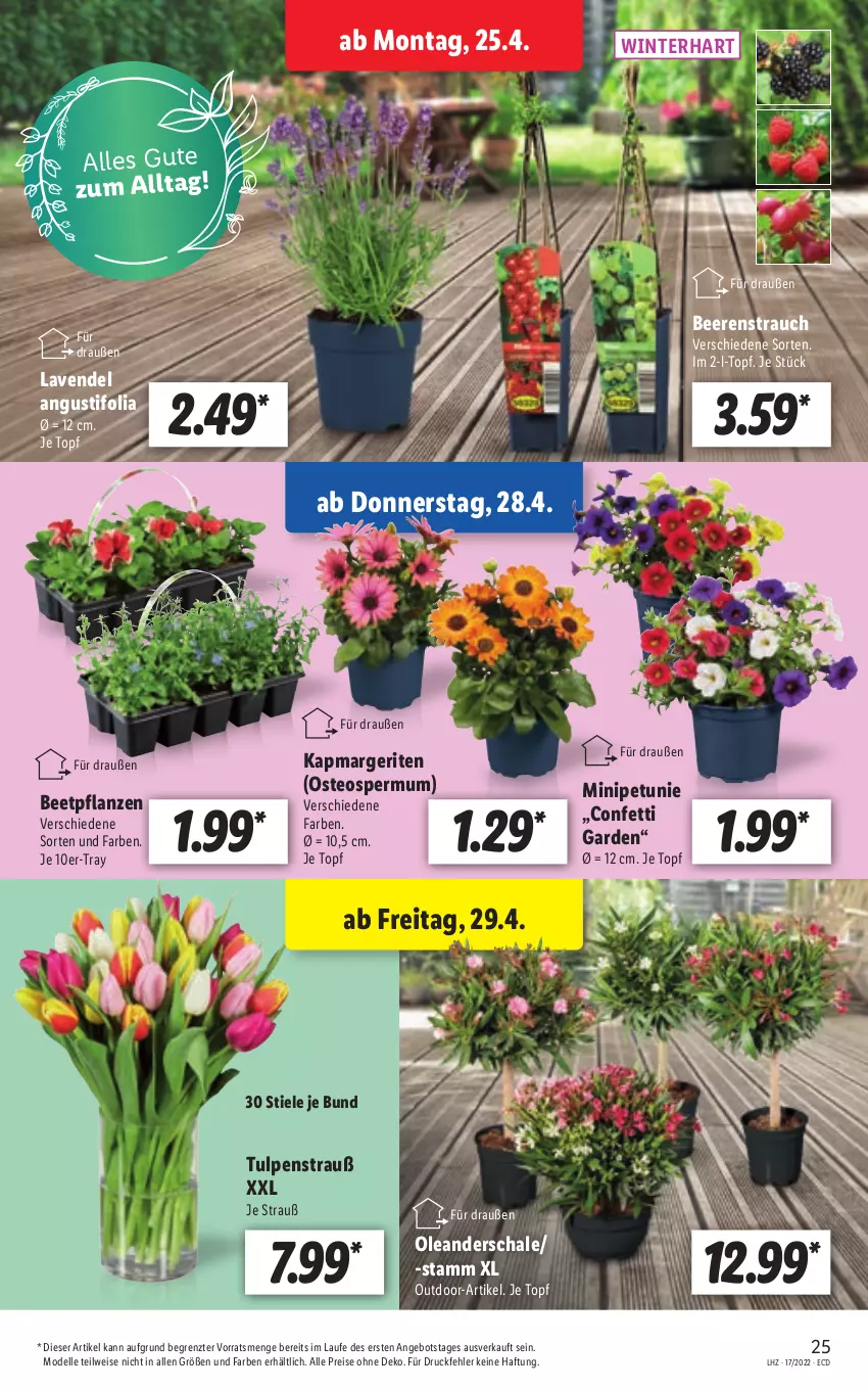 Aktueller Prospekt Lidl - Aktionsprospekt - von 25.04 bis 30.04.2022 - strona 25 - produkty: angebot, beere, beeren, beetpflanzen, dell, eis, elle, lavendel, Mode, petunie, pflanze, pflanzen, Rauch, reis, Schal, Schale, Ti, topf, ZTE