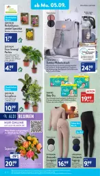 Gazetka promocyjna Aldi Nord - Aldi-Vorschau - Gazetka - ważna od 10.09 do 10.09.2022 - strona 10 - produkty: aldi, baby-dry, Bau, beutel, blume, blumen, Blüte, Brei, eis, elle, erde, Ficus, flasche, gin, hero, Kinder, Kinderwagen, kulturtopf, leggings, LG, loungeset, Pachira, pampers, pflanze, pflanzen, reis, Ria, rucksack, sac, Spezi, Tasche, Ti, topf, uhr, up2fashion, WICK, Wickelunterlage, zwiebel