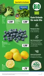 Gazetka promocyjna Lidl - Aktionsprospekt - Gazetka - ważna od 23.03 do 23.03.2024 - strona 7 - produkty: angebot, auer, Bau, beere, beeren, bio, brokkoli, dünger, eis, heidelbeere, heidelbeeren, pflanze, pflanzen, reis, sekt, Ti, Tiere, Wild, zitrone, zitronen, ZTE