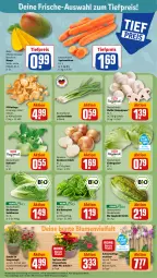 Gazetka promocyjna Rewe - Prospekte - Gazetka - ważna od 02.09 do 02.09.2023 - strona 7 - produkty: bio, blattspinat, blume, blumen, Blüte, champignon, champignons, eis, eisbergsalat, Gemüsezwiebel, kohlrabi, Kürbis, Lauchzwiebel, lauchzwiebeln, mango, Mett, möhren, orchidee, Pfifferlinge, reis, salat, salatherzen, Schal, Schale, Schmetterling, schmetterlingsorchidee, spaghetti, speisemöhren, spinat, Ti, tiefpreis, topf, zwiebel, zwiebeln