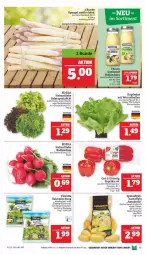 Gazetka promocyjna Marktkauf - Prospekt - Gazetka - ważna od 20.05 do 20.05.2023 - strona 13 - produkty: ball, bio, deka, dell, Eichblattsalat, eis, elle, feinschmecker, florette, kartoffel, kartoffeln, kräuter, kräutern, paprika, paprika rot, radieschen, reis, salat, spargel, Spezi, Ti, ZTE