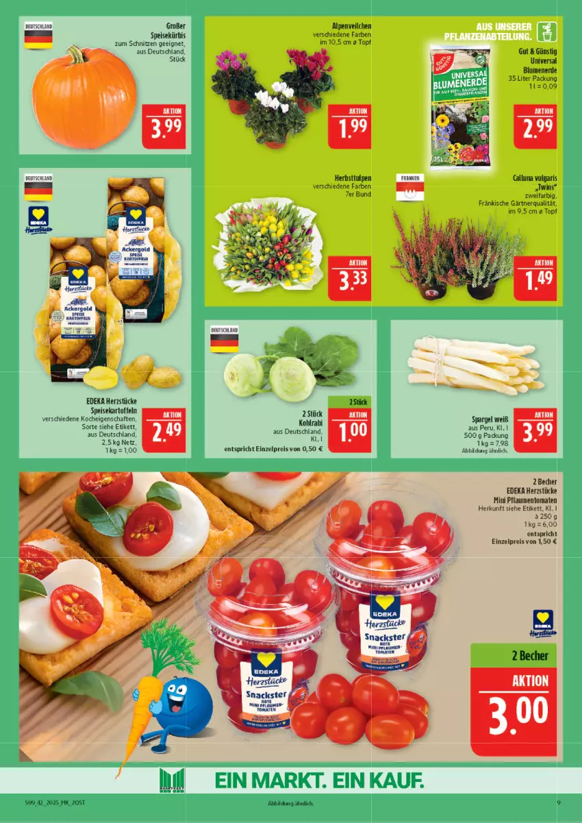 Aktueller Prospekt Marktkauf - Prospekt - von 12.10 bis 18.10.2025 - strona 9 - produkty: ackergold, Alpenveilchen, Becher, blume, blumen, blumenerde, deka, eis, erde, kartoffel, kartoffeln, kohlrabi, Kürbis, LG, pflaume, pflaumen, reis, snack, snacks, spargel, speisekartoffeln, Ti, tomate, tomaten, topf