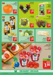 Gazetka promocyjna Marktkauf - Prospekt - Gazetka - ważna od 18.10 do 18.10.2025 - strona 9 - produkty: ackergold, Alpenveilchen, Becher, blume, blumen, blumenerde, deka, eis, erde, kartoffel, kartoffeln, kohlrabi, Kürbis, LG, pflaume, pflaumen, reis, snack, snacks, spargel, speisekartoffeln, Ti, tomate, tomaten, topf