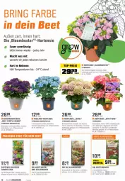 Gazetka promocyjna Obi - Prospekte - Gazetka - ważna od 29.05 do 29.05.2022 - strona 16 - produkty: auer, Bau, Bauer, beetpflanzen, bio, blume, blumen, blumenerde, Blüte, compo sana, Container, eis, erde, Garten, Gartenpflanze, hortensie, hortensien, hydrangea, hydrangea macrophylla, Leuchte, leuchten, mac, obst, pflanze, pflanzen, pflanzerde, reis, sac, sana, stauden, Ti, top-preis