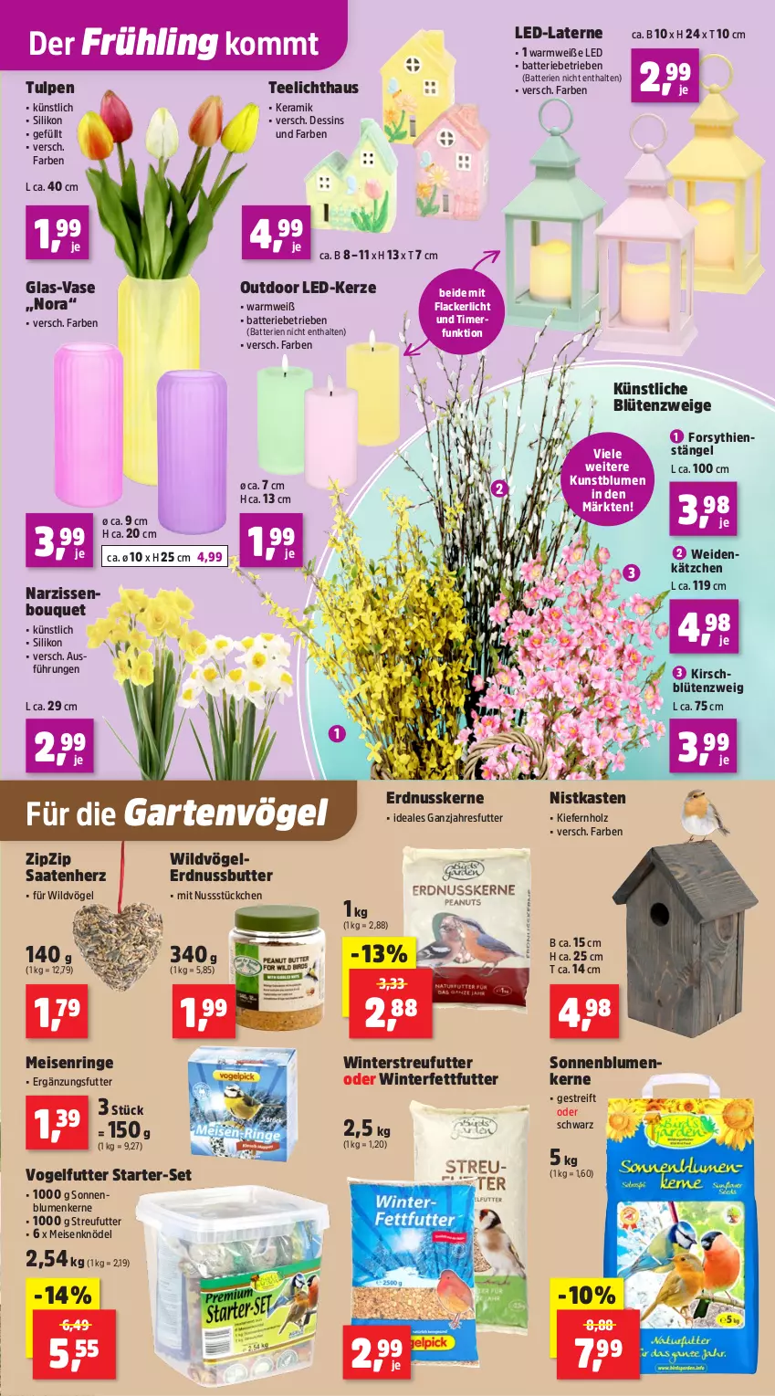 Aktueller Prospekt Thomas Philipps - von 12.01 bis 17.01.2026 - strona 3 - produkty: batterie, batterien, blume, blumen, Blüte, butter, eis, erdnuss, Erdnussbutter, Garten, Holz, Kätzchen, kerze, kirsch, Knödel, Kunstblume, lack, Lacke, laterne, LED-Kerze, Meisenknödel, Narzissen, nuss, ring, sonnenblume, sonnenblumen, Sonnenblumenkerne, Streufutter, tee, Teelicht, Ti, timer, Vase, Vogelfutter, Wild
