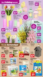 Gazetka promocyjna Thomas Philipps - Gazetka - ważna od 17.01 do 17.01.2026 - strona 3 - produkty: batterie, batterien, blume, blumen, Blüte, butter, eis, erdnuss, Erdnussbutter, Garten, Holz, Kätzchen, kerze, kirsch, Knödel, Kunstblume, lack, Lacke, laterne, LED-Kerze, Meisenknödel, Narzissen, nuss, ring, sonnenblume, sonnenblumen, Sonnenblumenkerne, Streufutter, tee, Teelicht, Ti, timer, Vase, Vogelfutter, Wild