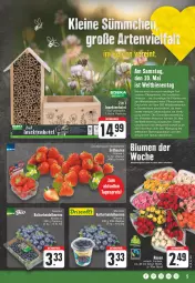 Gazetka promocyjna E Center - Angebote der Woche - Gazetka - ważna od 20.05 do 20.05.2023 - strona 5 - produkty: aktionspreis, angebot, Becher, beere, beeren, blume, blumen, deka, eis, elle, erdbeere, erdbeeren, früchte, heidelbeere, heidelbeeren, oxo, pflanze, pflanzen, reis, ring, sekt, Ti, Wild