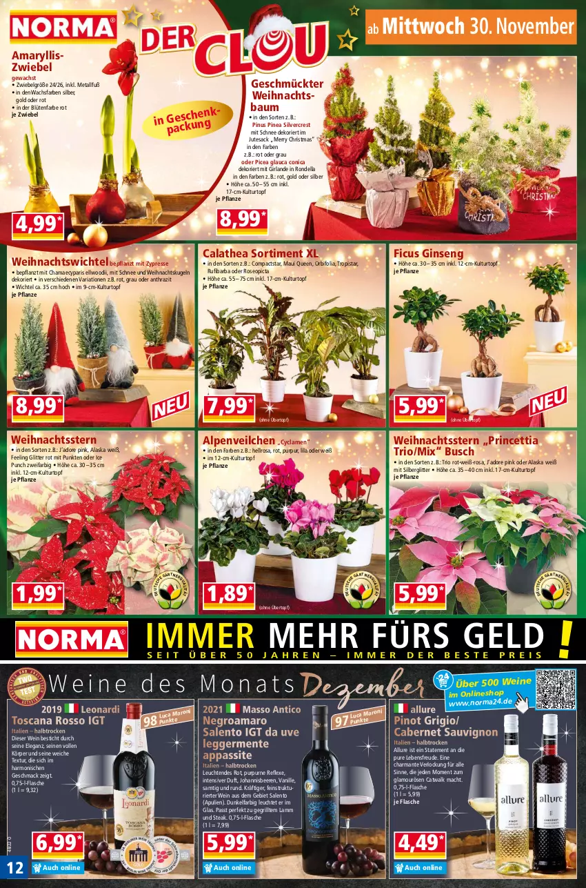 Aktueller Prospekt Norma - Norma - von 28.11 bis 05.12.2022 - strona 12 - produkty: Alpenveilchen, amaro, Bau, beere, beeren, Blüte, cabernet, cabernet sauvignon, dell, Egger, ente, Ficus, flasche, Germ, gin, Girlande, grill, hama, harman, johannisbeere, Johannisbeeren, Kugel, kulturtopf, lamm, Leuchte, leuchten, LG, mac, pflanze, Pinot, pinot grigio, Ria, Rondell, sac, sauvignon, silvercrest, steak, tesa, Thea, Ti, topf, übertopf, vanille, Weihnachtsbaum, Weihnachtskugeln, Weihnachtsstern, wein, weine, Wichtel, zwiebel