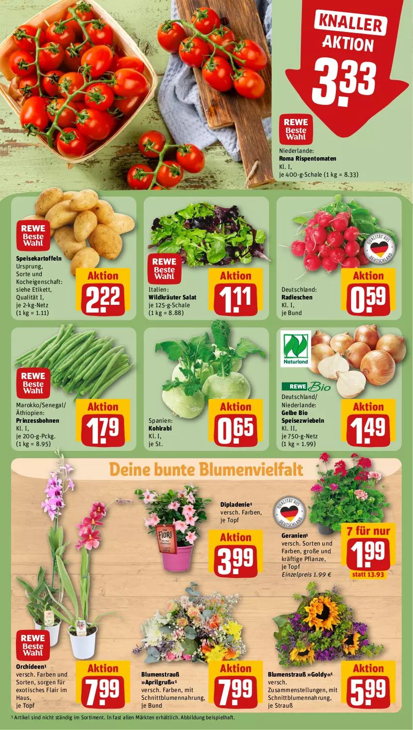 Aktueller Prospekt Rewe - Prospekte - von 15.04 bis 20.04.2024 - strona 7 - produkty: bio, blume, blumen, Blumenstrauß, bohne, bohnen, dip, eis, geranie, geranien, kartoffel, kartoffeln, kohlrabi, kräuter, LG, orchidee, orchideen, pflanze, pril, prinzessbohnen, radieschen, reis, rispentomaten, salat, Schal, Schale, speisekartoffeln, Speisezwiebeln, Ti, tisch, tomate, tomaten, topf, Wild, zwiebel, zwiebeln