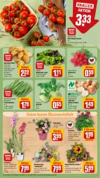 Gazetka promocyjna Rewe - Prospekte - Gazetka - ważna od 20.04 do 20.04.2024 - strona 7 - produkty: bio, blume, blumen, Blumenstrauß, bohne, bohnen, dip, eis, geranie, geranien, kartoffel, kartoffeln, kohlrabi, kräuter, LG, orchidee, orchideen, pflanze, pril, prinzessbohnen, radieschen, reis, rispentomaten, salat, Schal, Schale, speisekartoffeln, Speisezwiebeln, Ti, tisch, tomate, tomaten, topf, Wild, zwiebel, zwiebeln