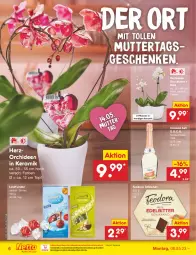 Gazetka promocyjna Netto Marken-Discount - Filial-Angebote - Gazetka - ważna od 13.05 do 13.05.2023 - strona 6 - produkty: asti, bestpreis, cin, cinzano, Cinzano Asti, eis, lindor, lindt, ndk, orchidee, orchideen, pflanze, pflanzen, reis, Ti, topf, wein