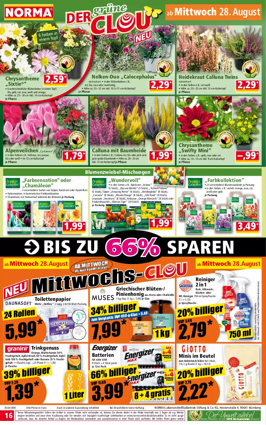 Aktueller Prospekt Norma - Norma - von 26.08 bis 02.09.2024 - strona 16 - produkty: Alpenveilchen, apfel, Bad, banane, batterie, batterien, Bau, Bebe, beutel, bio, biozidprodukte, blume, blumen, Blüte, eis, elle, flasche, frucht, gin, Heidekraut, honig, kirsch, Kraut, küche, Küchen, kulturtopf, lebensmittel, Narzissen, nuss, orange, papier, pflanze, pflanzen, Rauch, reiniger, reis, Ria, rouge, rwe, Ti, toilettenpapier, topf, trauben, vita, wc-reiniger, weck, zwiebel, zwiebeln