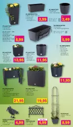 Gazetka promocyjna Kodi - Prospekte - Gazetka - ważna od 23.03 do 23.03.2024 - strona 2 - produkty: blume, blumen, Blumenampel, Pflanzkasten, Pflanztopf, shake, Ti, topf, Untersetzer