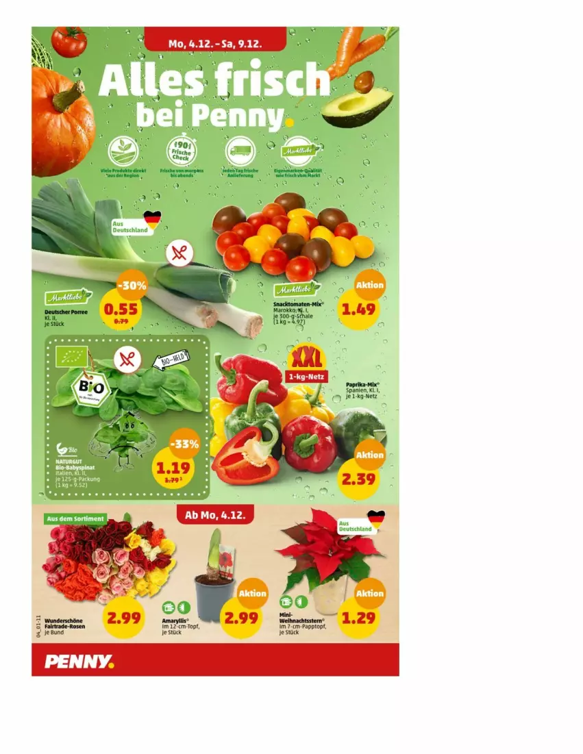 Aktueller Prospekt Penny - Prospekte - von 04.12 bis 09.12.2023 - strona 9 - produkty: paprika, rosen, Ti, tisch, topf