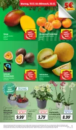 Gazetka promocyjna Lidl - Aktionsprospekt - Gazetka - ważna od 23.12 do 23.12.2023 - strona 9 - produkty: angebot, clementinen, coupon, discount, eis, frucht, galiamelone, kulturtopf, mandarine, mandarinen, mango, melone, passionsfrucht, pflanze, pflanzen, phalaenopsis, reis, Ria, rosen, Ti, topf, ZTE