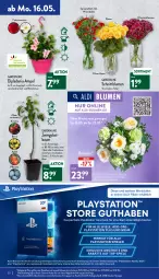 Gazetka promocyjna Aldi Nord - Aldi-Vorschau - Gazetka - ważna od 21.05 do 21.05.2022 - strona 20 - produkty: aldi, angebot, angebote, apfel, aust, Bau, blume, blumen, Blüte, Brei, chrysanthemen, dip, dipladenia, eis, elle, ente, erde, gin, hero, kirsch, kirsche, lays, LG, obst, pflanze, pflaume, PlayStation, reis, Ria, ring, rosen, sony, Spiele, Ti, topf, uhr, Vase, ZTE