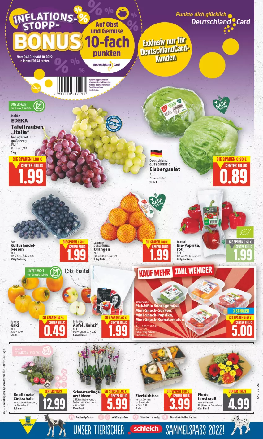 Aktueller Prospekt E Center - Angebote der Woche - von 26.09 bis 01.10.2022 - strona 2 - produkty: beere, beeren, beutel, bio, Bio-Paprika, Blüte, deka, deutschland card, eis, eisbergsalat, Kaki, korb, Kürbis, Mett, obst, orange, orangen, orchidee, orchideen, paprika, pflanze, salat, Schal, Schale, Schmetterling, tafeltrauben, Ti, topf, trauben, und gemüse, ZTE