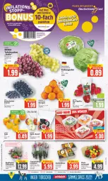 Gazetka promocyjna E Center - Angebote der Woche - Gazetka - ważna od 01.10 do 01.10.2022 - strona 2 - produkty: beere, beeren, beutel, bio, Bio-Paprika, Blüte, deka, deutschland card, eis, eisbergsalat, Kaki, korb, Kürbis, Mett, obst, orange, orangen, orchidee, orchideen, paprika, pflanze, salat, Schal, Schale, Schmetterling, tafeltrauben, Ti, topf, trauben, und gemüse, ZTE