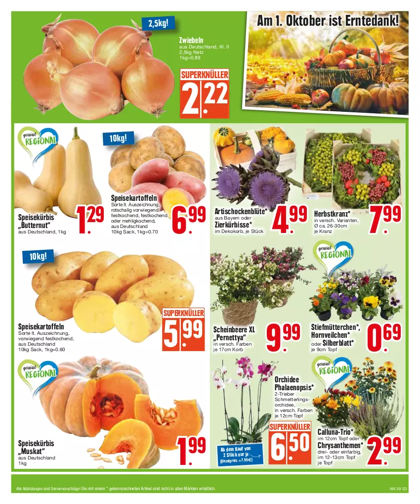 Aktueller Prospekt Edeka - Angebote der Woche - von 25.09 bis 30.09.2023 - strona 3 - produkty: Artischocken, beere, Blüte, butter, chrysanthemen, eis, kartoffel, kartoffeln, korb, Kranz, Kürbis, mehl, Mett, orchidee, phalaenopsis, reis, Ria, sac, Schal, Schmetterling, schmetterlingsorchidee, speisekartoffeln, Ti, tisch, topf, zwiebel, zwiebeln