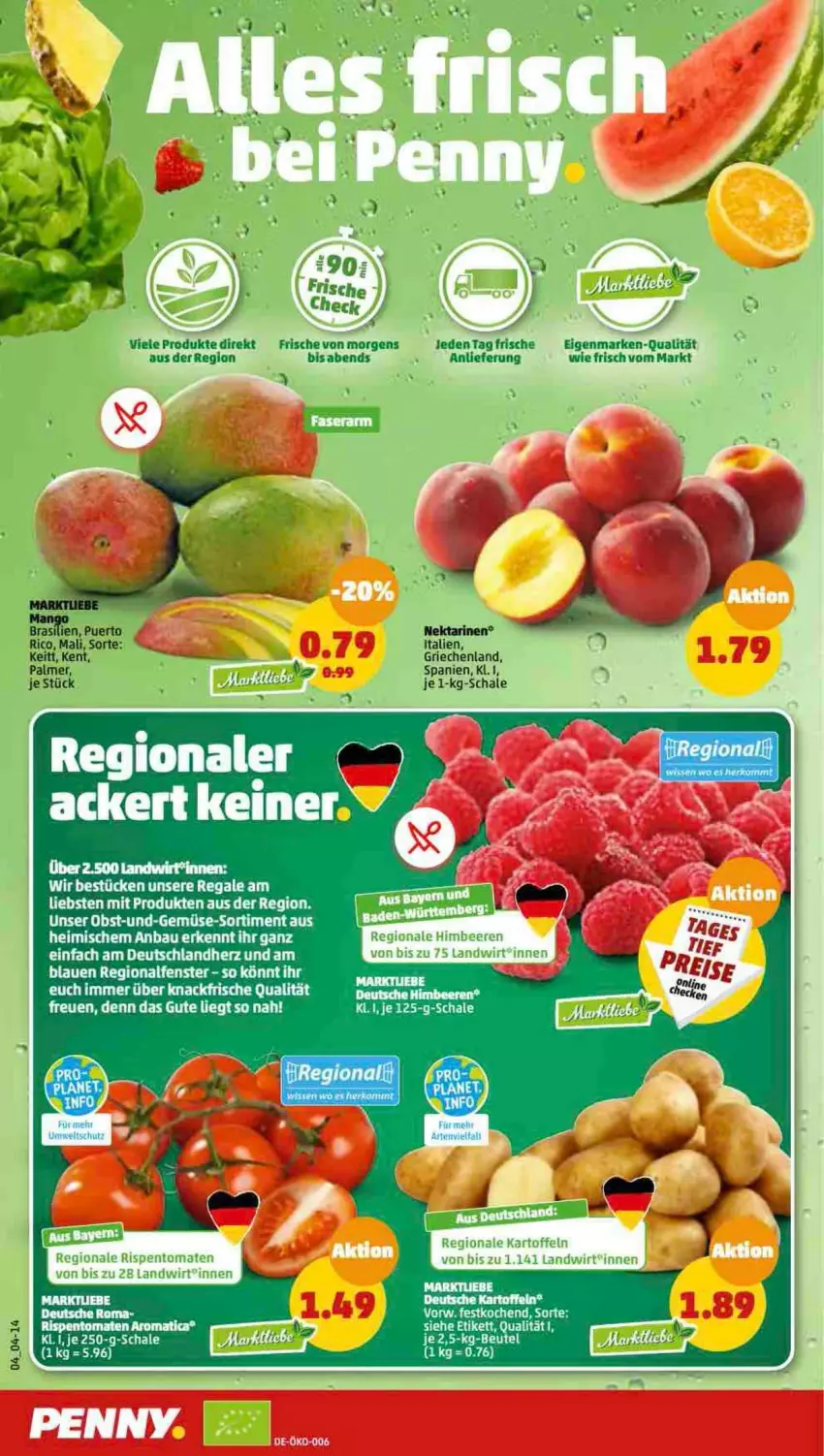 Aktueller Prospekt Penny - Prospekte - von 22.08 bis 27.08.2022 - strona 4 - produkty: Bau, fenster, Nektar, nektarinen, obst, regal, Schal, Schale, Ti