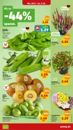 Gazetka promocyjna Penny - Prospekte - Gazetka - ważna od 05.10 do 05.10.2024 - strona 3 - produkty: beere, beeren, beutel, bio, blattspinat, chrysanthemen, gurke, kiwi, natur, Schal, Schale, snack, spinat, topf, zespri