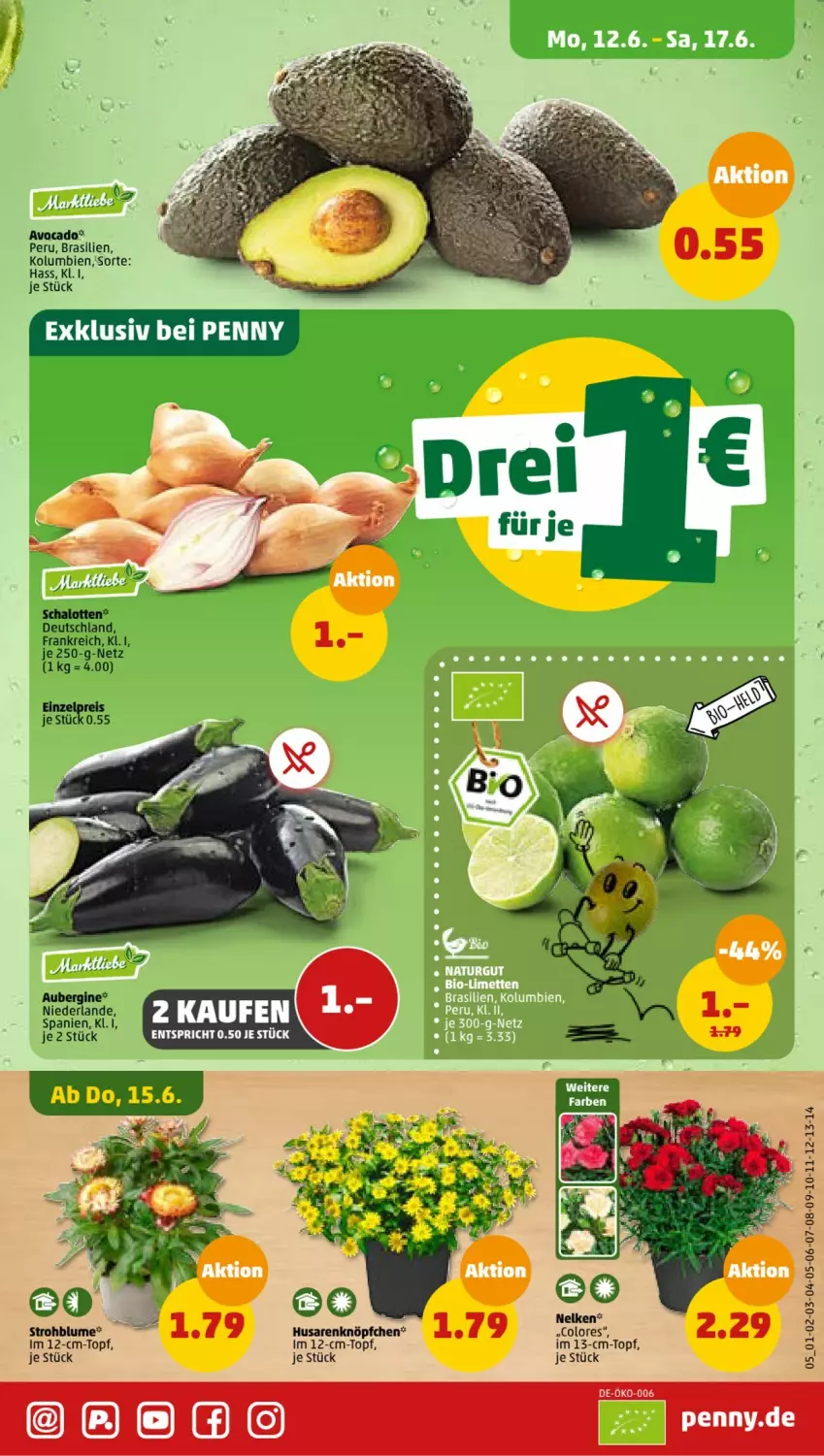 Aktueller Prospekt Penny - Prospekte - von 12.06 bis 17.06.2023 - strona 5 - produkty: aubergine, avocado, blume, eis, gin, reis, Schal, Schalotte, Strohblume, topf