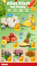 Gazetka promocyjna Penny - Prospekte - Gazetka - ważna od 17.06 do 17.06.2023 - strona 4 - produkty: ananas, banane, bananen, pfirsich, pfirsiche, Schal, Schale, stauden, topf