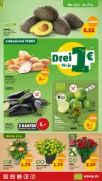 Gazetka promocyjna Penny - Prospekte - Gazetka - ważna od 17.06 do 17.06.2023 - strona 5 - produkty: aubergine, avocado, blume, eis, gin, reis, Schal, Schalotte, Strohblume, topf