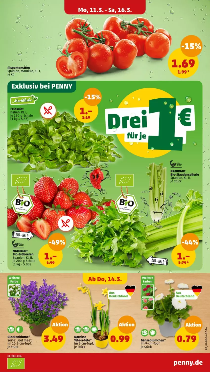 Aktueller Prospekt Penny - Prospekte - von 11.03 bis 16.03.2024 - strona 3 - produkty: beere, beeren, bio, blume, elle, erdbeere, erdbeeren, feldsalat, im 9-cm-topf, natur, salat, Schal, Schale, stauden, tee, topf