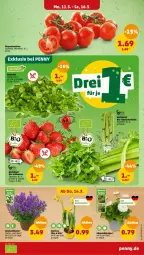 Gazetka promocyjna Penny - Prospekte - Gazetka - ważna od 16.03 do 16.03.2024 - strona 3 - produkty: beere, beeren, bio, blume, elle, erdbeere, erdbeeren, feldsalat, im 9-cm-topf, natur, salat, Schal, Schale, stauden, tee, topf