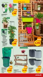 Gazetka promocyjna Penny - Prospekte - Gazetka - ważna od 16.03 do 16.03.2024 - strona 35 - produkty: blume, blumen, dell, elle, Garten, handschuhe, Holz, kartoffel, kraft, Mode, Rana, regal, sac, schuhe, Ti, tisch, tomate, tomaten, topf, tragegriff, Untersetzer