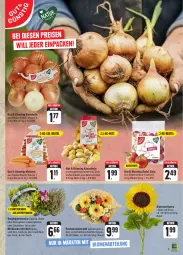 Gazetka promocyjna E Center - Angebote der Woche - Gazetka - ważna od 30.09 do 30.09.2023 - strona 7 - produkty: Alpenveilchen, beutel, blume, blumen, eis, Garten, kartoffel, kartoffeln, möhren, sonnenblume, Ti, zwiebel, zwiebeln