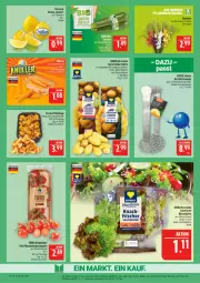 Gazetka promocyjna Marktkauf - Prospekt - Gazetka - ważna od 01.08 do 01.08.2026 - strona 7 - produkty: ackergold, ball, deka, edelstahl, eis, Frühkartoffeln, Garten, Gladiolen, kartoffel, kartoffeln, möhren, Pfifferlinge, pflaume, pflaumen, reis, rispentomaten, salat, speisefrühkartoffeln, Ti, tomate, tomaten, zitrone, ZTE