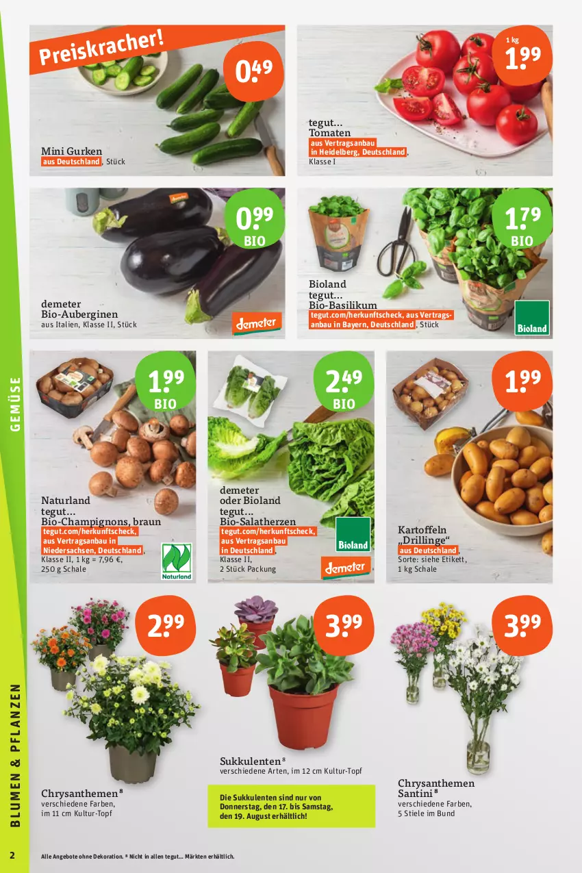 Aktueller Prospekt Tegut - Angebote der Woche - von 14.08 bis 19.08.2023 - strona 2 - produkty: angebot, angebote, aubergine, auberginen, basilikum, Bau, bio, bio-basilikum, bioland, braun, champignon, champignons, chrysanthemen, dekoration, eis, ente, gin, gurke, gurken, kartoffel, kartoffeln, natur, naturland, reis, sac, salat, salatherzen, Schal, Schale, Sukkulente, Ti, tomate, tomaten, topf