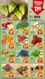 Gazetka promocyjna Rewe - Prospekte - Gazetka - ważna od 27.01 do 27.01.2024 - strona 7 - produkty: beere, beeren, bio, blattspinat, blume, blumen, broccoli, eis, gin, heidelbeere, heidelbeeren, kiwi, mandarine, mandarinen, paprika, rispentomaten, rosen, rote tafeläpfel, salat, Schal, Schale, spinat, suppe, suppen, tafeläpfel, Ti, tomate, tomaten, topf