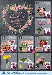 Gazetka promocyjna Edeka - Prospekte - Gazetka - ważna od 14.02 do 14.02.2026 - strona 6 - produkty: Engel, payback, tesa, Ti