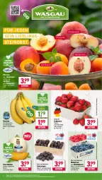 Gazetka promocyjna Wasgau - Gazetka - ważna od 26.07 do 26.07.2025 - strona 8 - produkty: angebot, aprikose, aprikosen, banane, bananen, beere, beeren, eis, erdbeere, erdbeeren, fleisch, heidelbeere, heidelbeeren, himbeer, himbeere, himbeeren, korb, melone, Nektar, nektarinen, obst, paraguayos, pfirsich, pfirsiche, pfirsiche oder, reis, Schal, Schale, Ti, Yo
